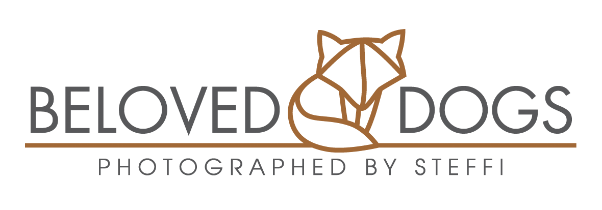 Beloved Dogs — photographed by Steffi