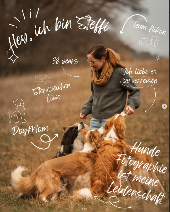 Steffi spielt auf einer herbstlichen Wiese mit mehreren Hunden