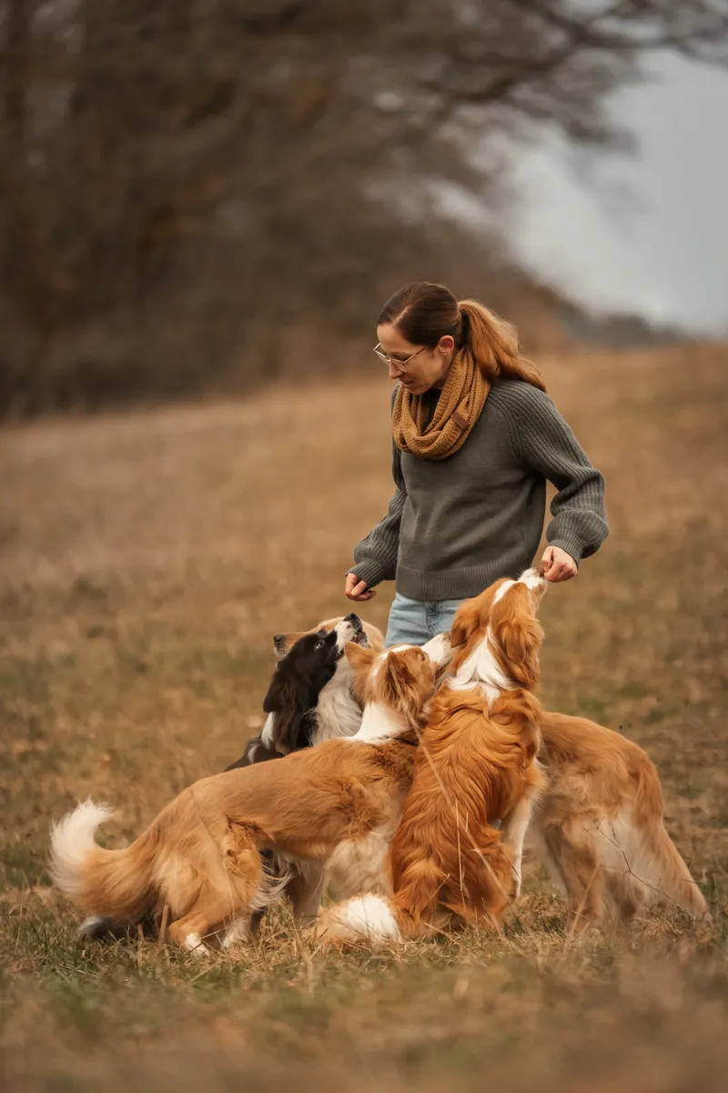 Steffi spielt auf einer herbstlichen Wiese mit ihren Hunden